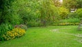 Green grass lawn in a garden with random pattern of grey concrete stepping stone , Flowering plant, shurb , trees on backyard Royalty Free Stock Photo