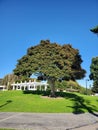 green grass lawn real grass, wood and white arbor in oriental style Royalty Free Stock Photo