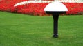 A green grass lawn, red flowers, a black and white lamp of a park of shanghai, china.