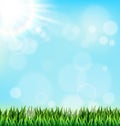 Green grass lawn with sunlight on blue sky. Floral nature spring Royalty Free Stock Photo