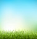 Green grass lawn with sunrise on sky. Floral nature spring backg Royalty Free Stock Photo