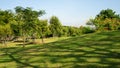 Green grass lawn under shadow of tree on small hill, greenery trees Royalty Free Stock Photo