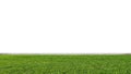Green grass lawn, with white wall Royalty Free Stock Photo
