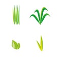 Green grass, leaf, leaves, plant, agricultur vector symbol Royalty Free Stock Photo