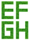 Green Grass Letter isolated