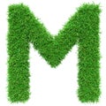 Green Grass Letter M