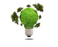 Green grass light bulb isolated Royalty Free Stock Photo