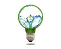 Green grass light bulb with water inside. Royalty Free Stock Photo