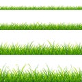 Green Grass Line Set. Vector