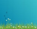 Green grass with little white flower background 3 Royalty Free Stock Photo