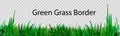 Green grass that is longitudinal to use as a design element isolated from a transparent background. Vector illustrations