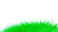 Green grass meadow isolated on white. Vector illustration