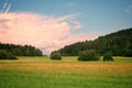 Green grass and meadow, in the background bushes, trees and forest in Poland. Beautiful blue sky Royalty Free Stock Photo