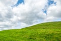 green grass meadow background in Ireland Royalty Free Stock Photo