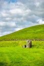 green grass meadow background in Ireland Royalty Free Stock Photo