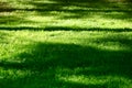 Green grass meadow background. Light and shadows Royalty Free Stock Photo