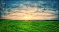 Green grass meadow and blue clouds during sunset. wide angle landscape Royalty Free Stock Photo