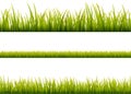 Green grass meadow border vector pattern. Spring or summer plant field lawn. Grass background Royalty Free Stock Photo