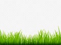 Green grass meadow border vector pattern. Spring or summer plant field lawn. Grass background