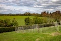 green grass meadow fence in Ireland