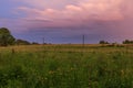 Green grass meadow field natural light colors Royalty Free Stock Photo