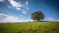 A green grass meadow with a single tree in the distance Royalty Free Stock Photo