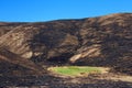Green grass in the middle of fire charred valley blue sky