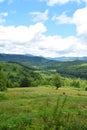 Green grass, mountains peaks covered with forest and cloudy blue sky. Summer mountain landscape Royalty Free Stock Photo