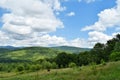 Green grass, mountains peaks covered with forest and cloudy blue sky. Summer mountain landscape Royalty Free Stock Photo