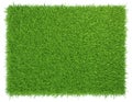 Green grass. natural background texture. fresh