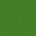 Green grass, natural background texture, fresh spring green grass Royalty Free Stock Photo