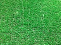 Green grass. natural background texture. fresh spring green grass. Top view Royalty Free Stock Photo