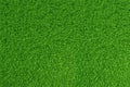 Green grass. natural background texture. high resolution. 3d rendering.