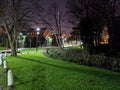 Green grass at night houses trees