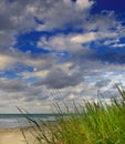 Green grass by the ocean Royalty Free Stock Photo