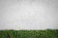 Green grass with old concrete floor. Royalty Free Stock Photo