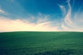 Green grass over blue sky background Royalty Free Stock Photo