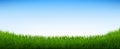 Green Grass Panorama With Blue Sky