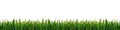 Green grass panorama isolated on white background Royalty Free Stock Photo