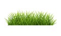 Green Grass Panorama Isolated White Background Royalty Free Stock Photo