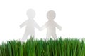 Green grass and Paper Chain men Royalty Free Stock Photo