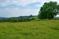 Grassy Pasture with Board Fence Royalty Free Stock Photo