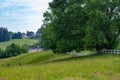 Grassy Pasture with Board Fence Royalty Free Stock Photo