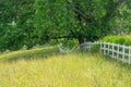White Board Pasture Fence Royalty Free Stock Photo