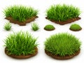 Green Grass Patches on White Background Royalty Free Stock Photo