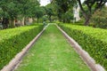 Green grass Pathway