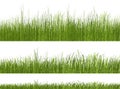 Green grass pattern on white background