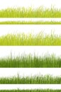 Green grass pattern on white background