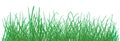 Green grass pattern on white background. vector