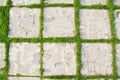 Green grass on pavement slab Royalty Free Stock Photo